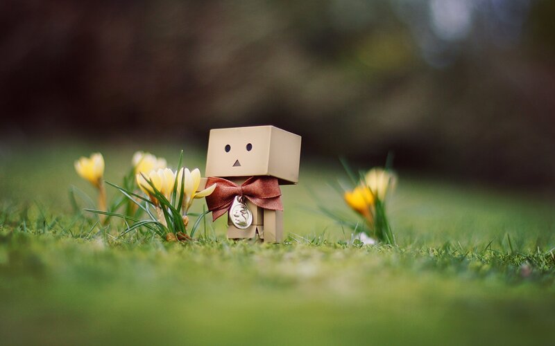 Cardboard Box Figure — Green, Serene, Spring