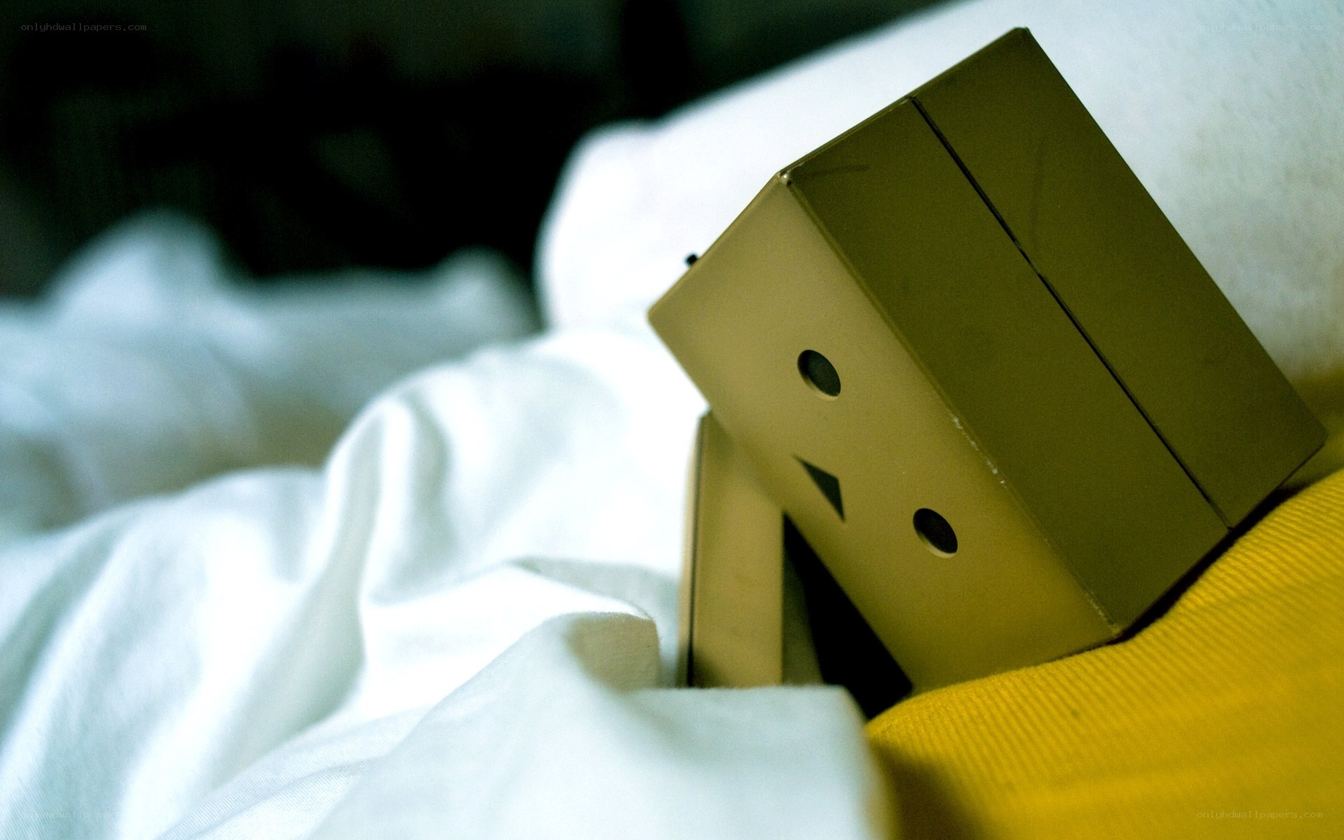 cardboard box figure on bed