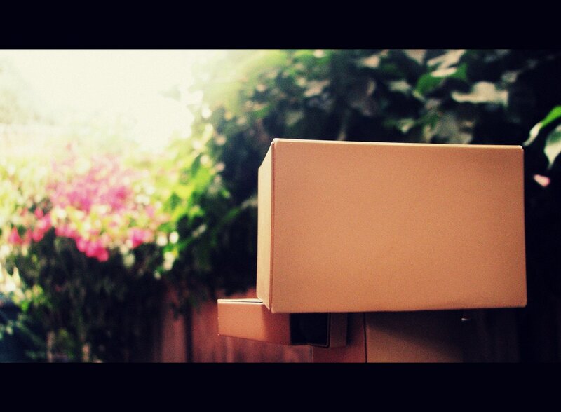 Cardboard box in garden