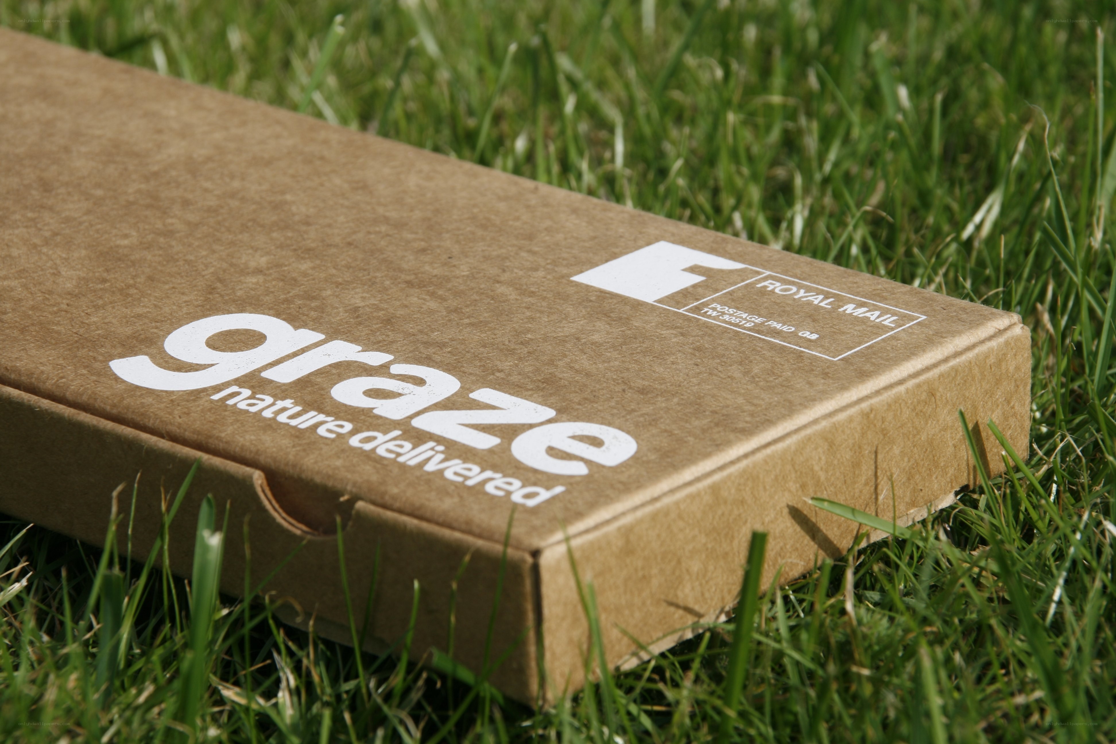 Cardboard box on grass