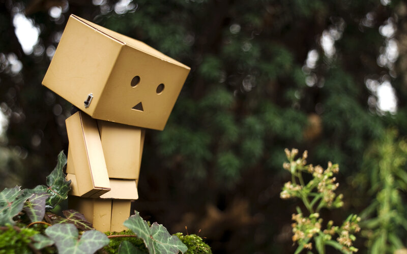 Cardboard Box Robot