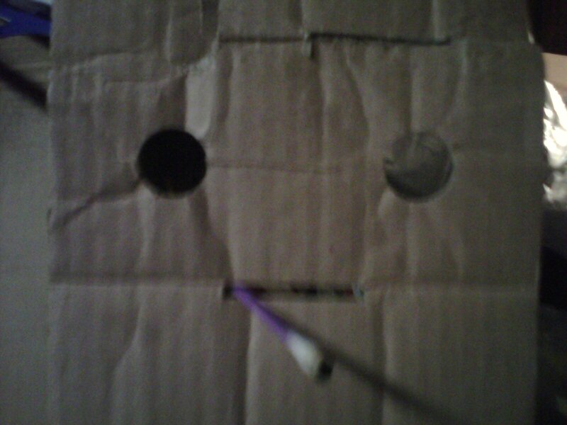 Cardboard Box with Holes