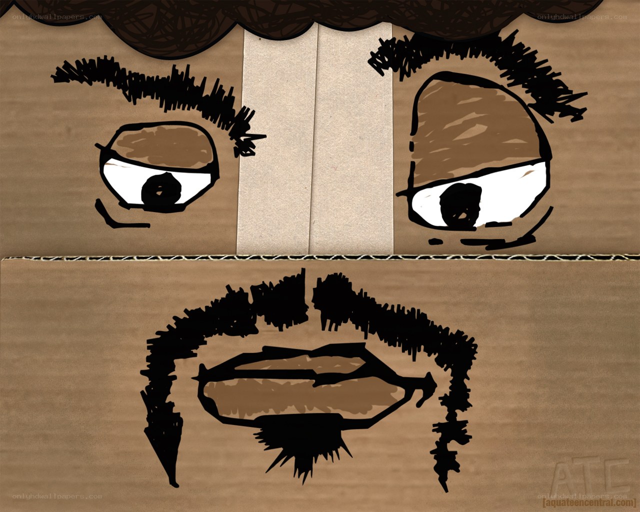 cardboard face art