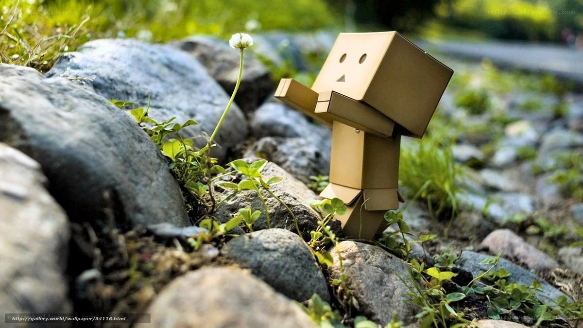 Cardboard figure in garden