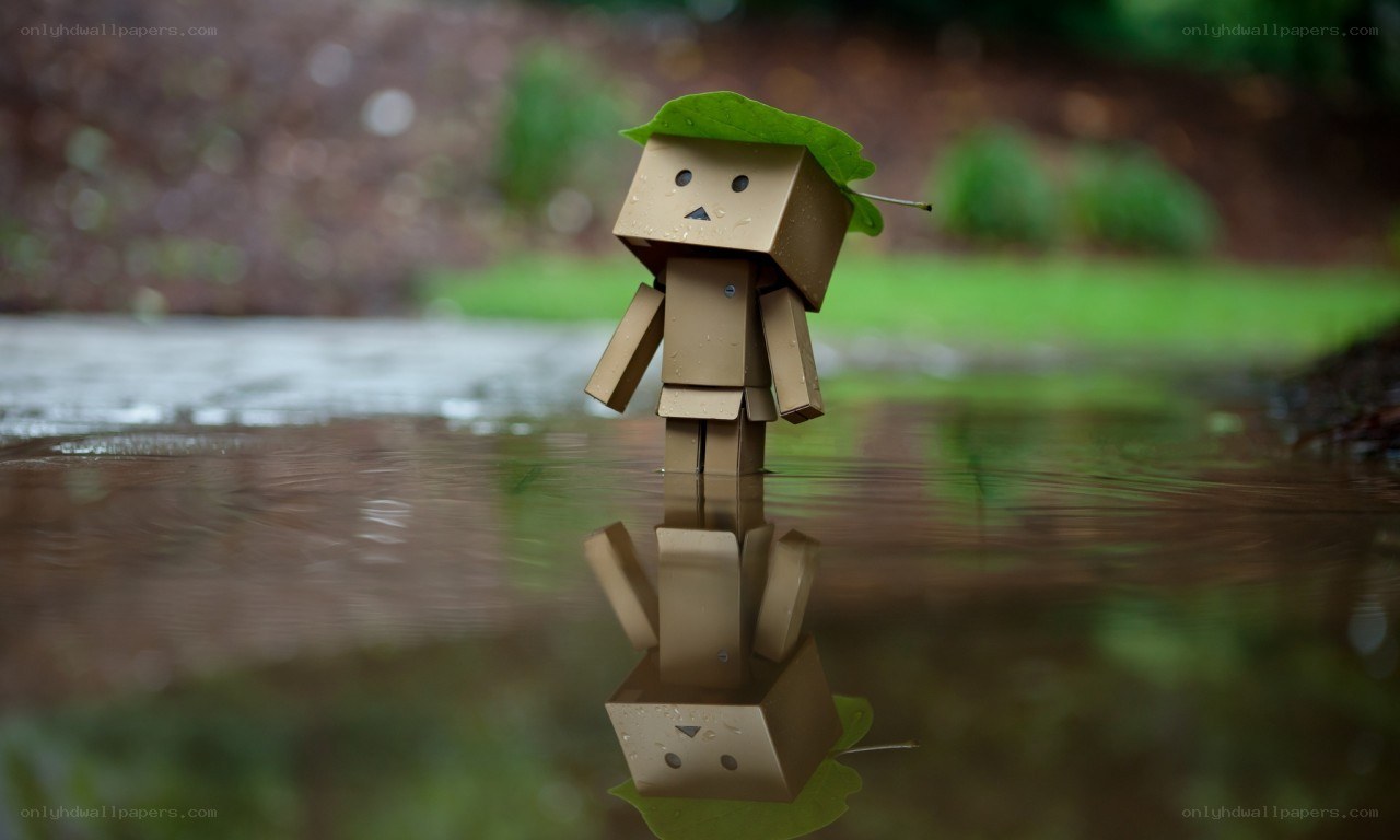 Cardboard figure in rain puddle