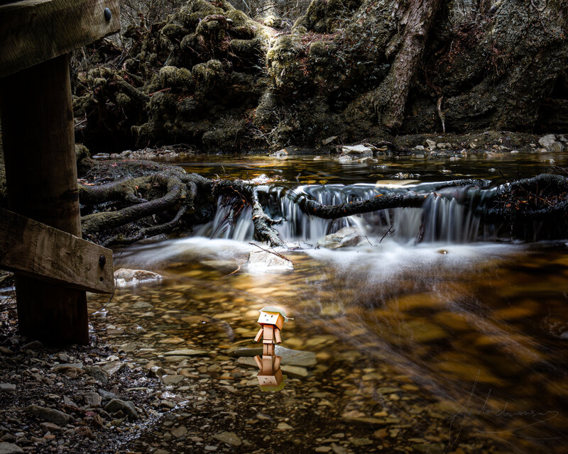 Cardboard Figure in Stream