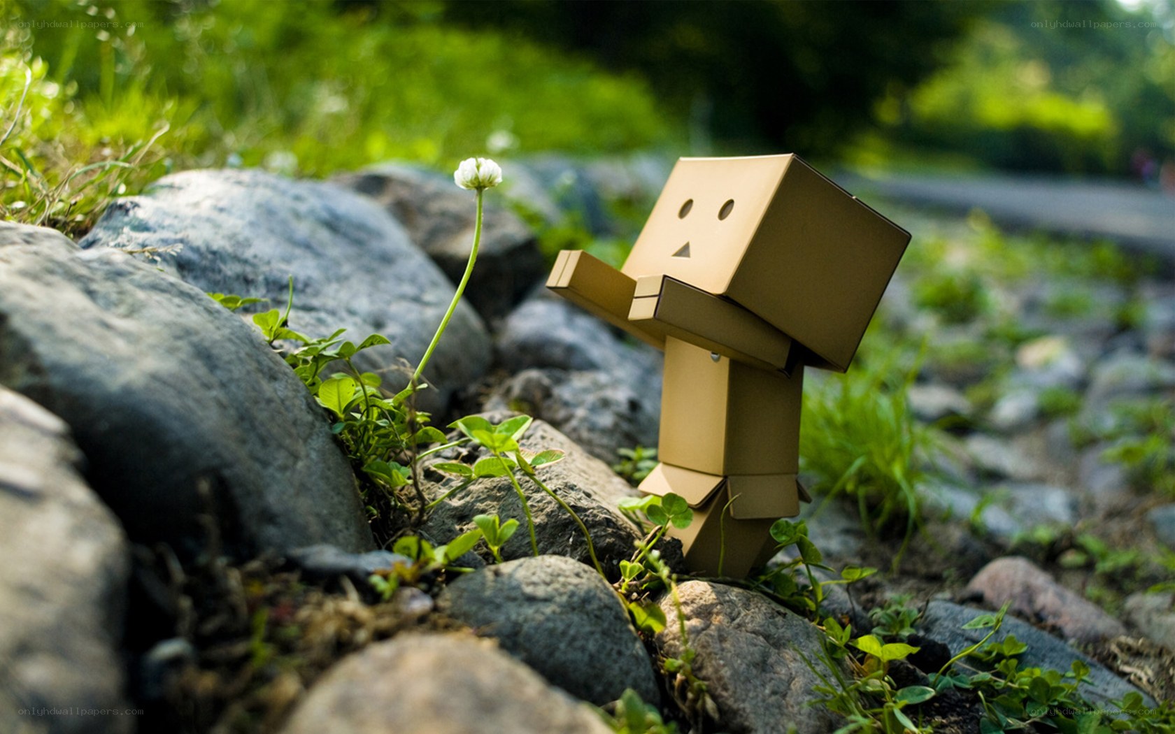 Cardboard figure with flower