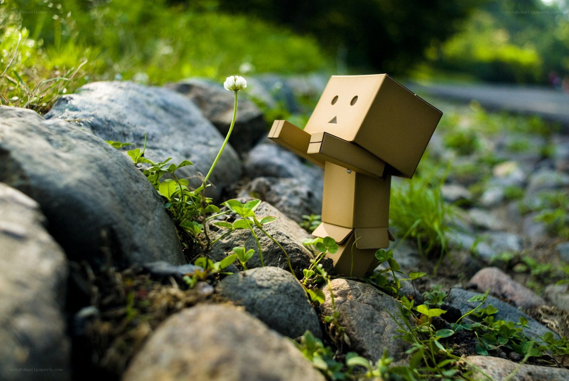 Cardboard figure with flower