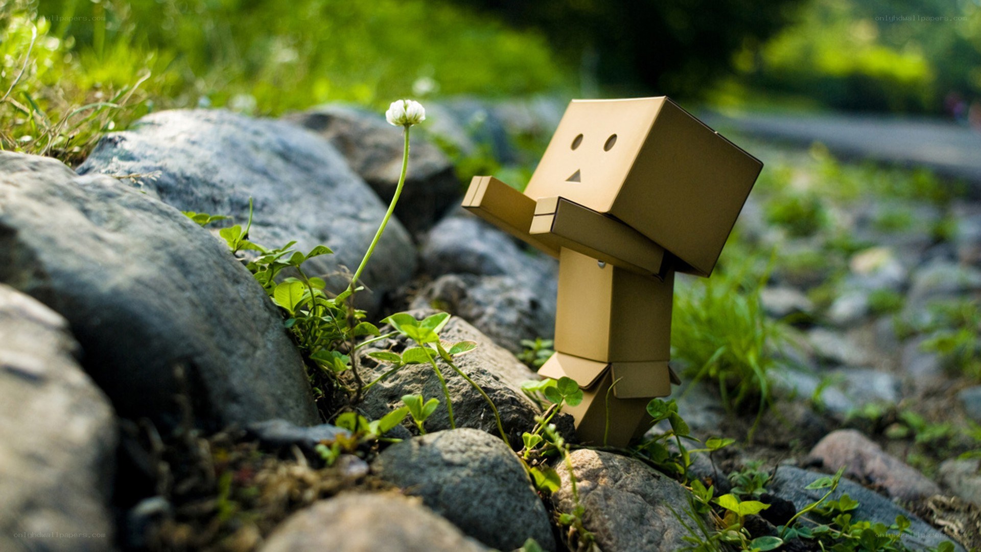 cardboard figure with flower