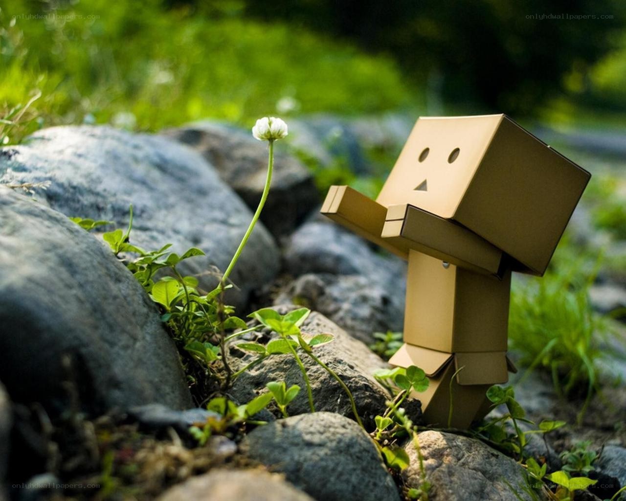 Cardboard figure with flower