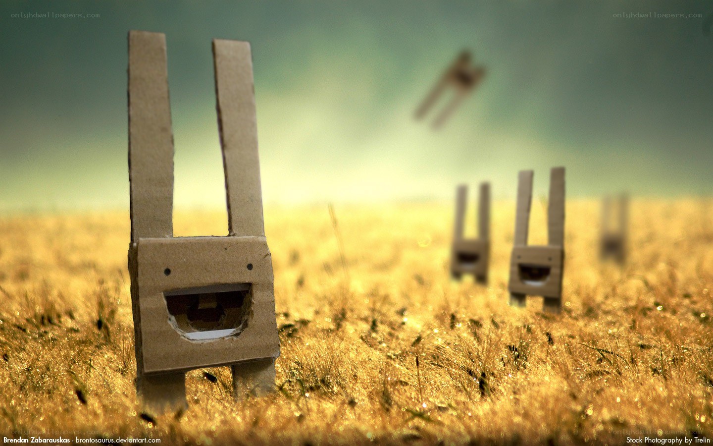 Cardboard rabbits in a field
