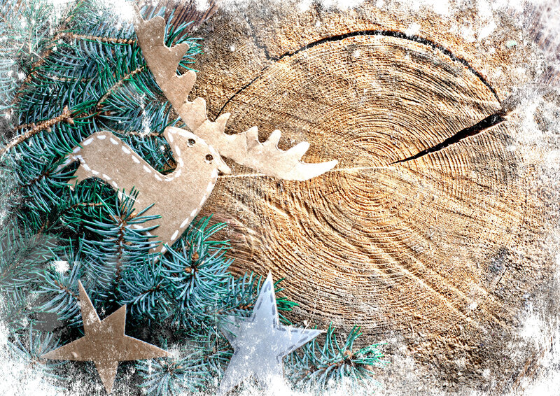 Cardboard Reindeer on Wood
