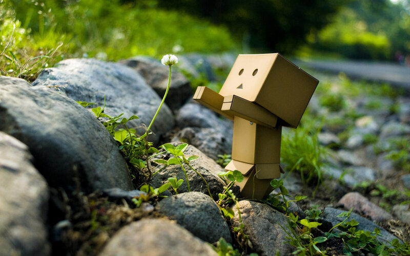 Cardboard Robot Figure — Brown, Serene, Afternoon, Photograph, Flower, Rocks