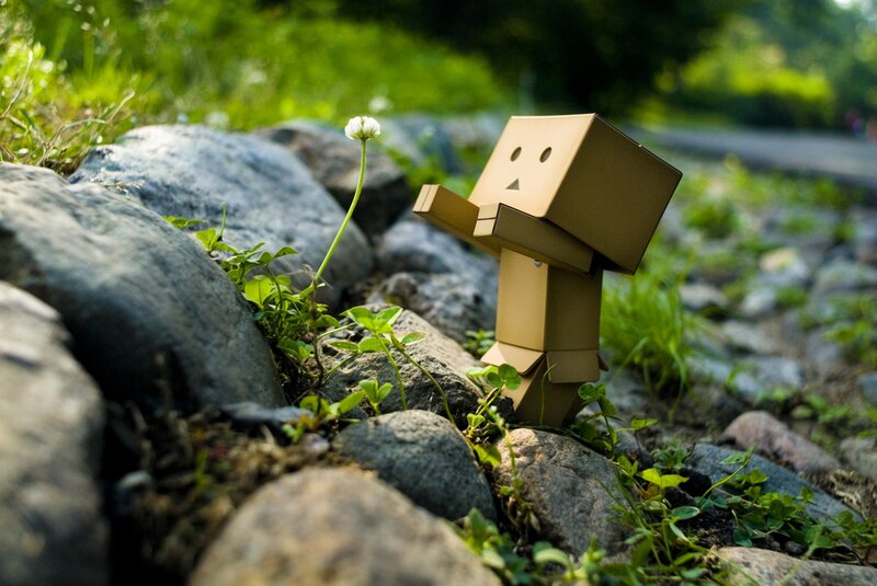 Cardboard Robot Figure — Green, Serene, Afternoon