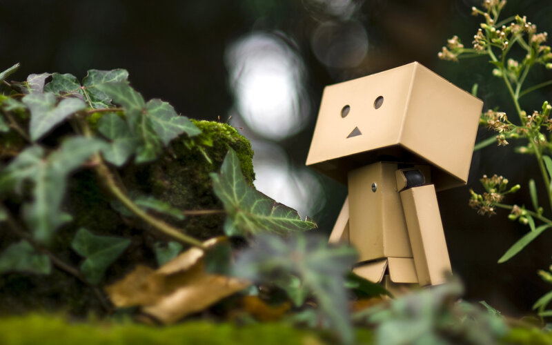 Cardboard Robot Figure — Green, Serene