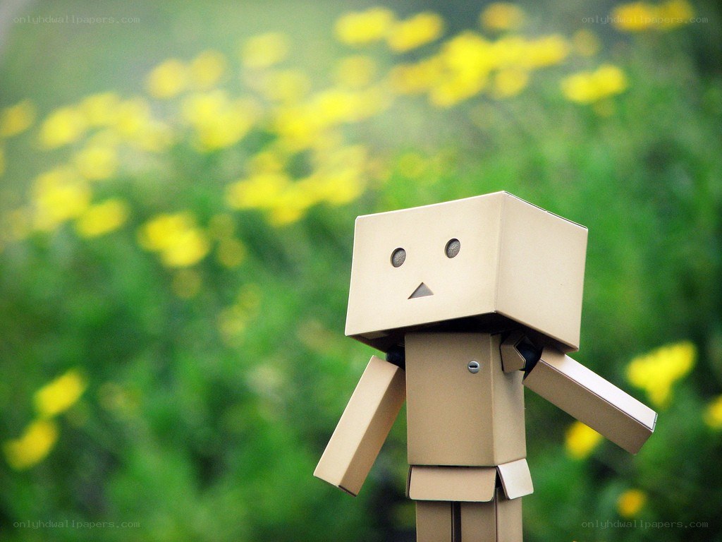 Cardboard robot in a field