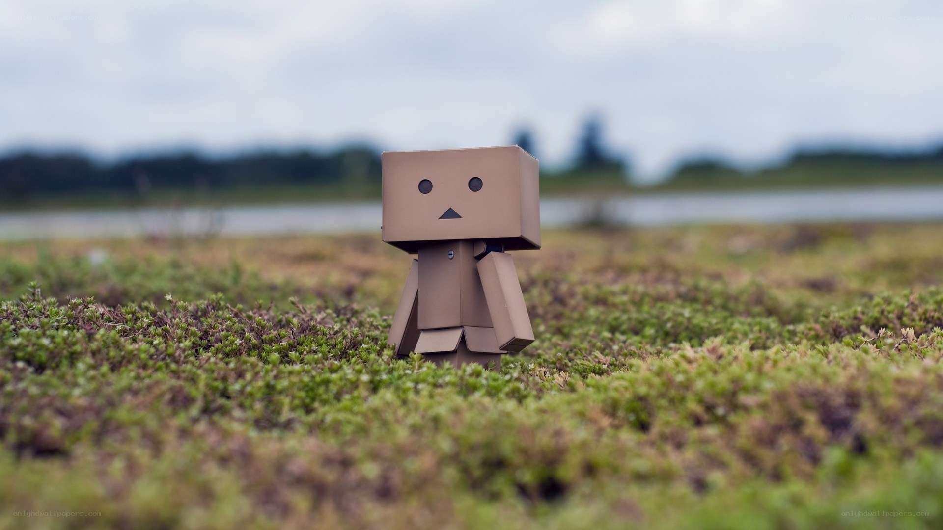 cardboard robot in a field
