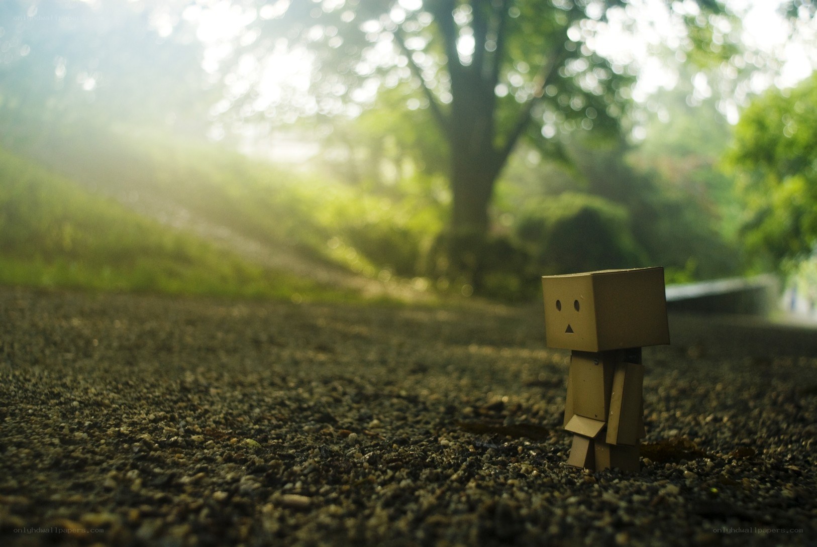 Cardboard robot in a park