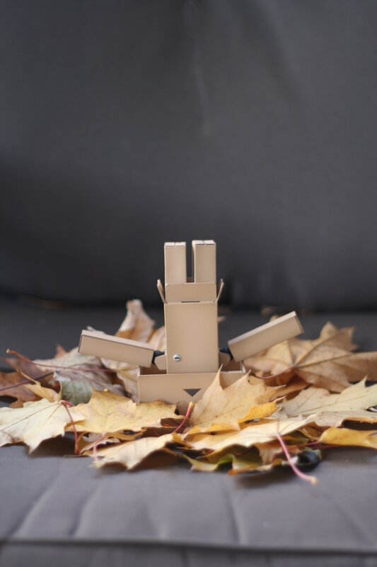 cardboard robot in autumn leaves