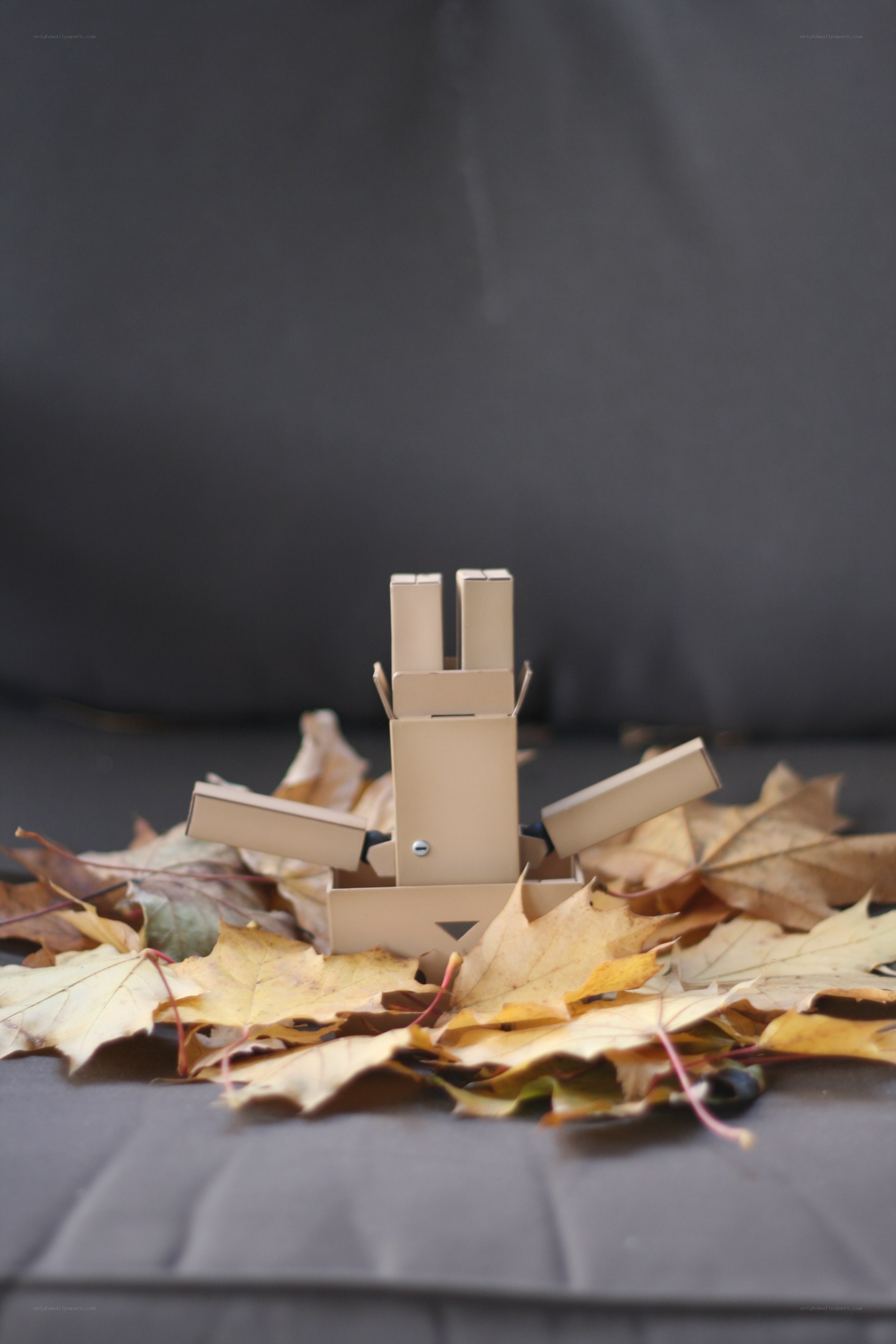 cardboard robot in autumn leaves