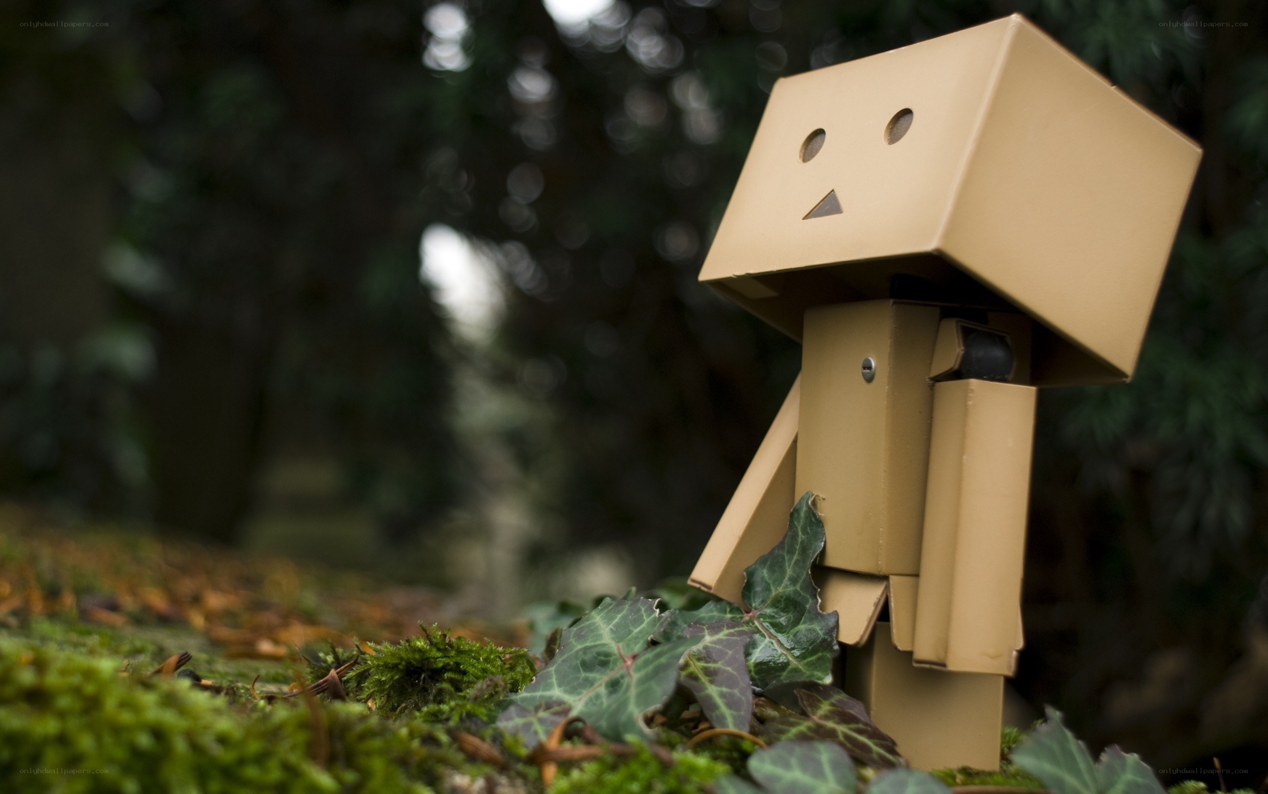 Cardboard robot in forest