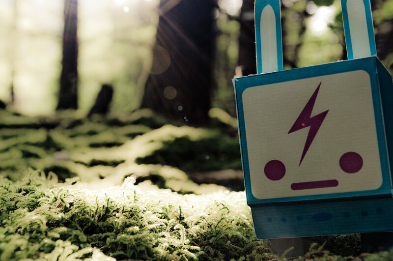 Cardboard robot in forest