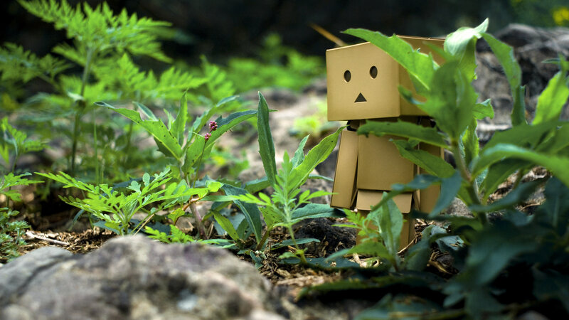 Cardboard Robot in Plants — Green