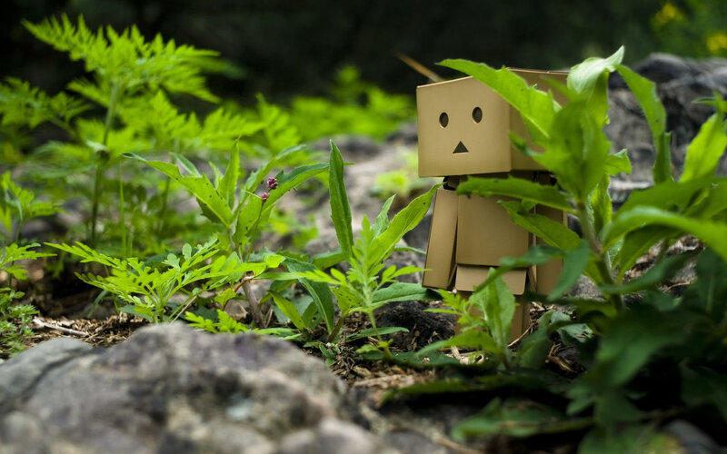 Cardboard Robot in Plants