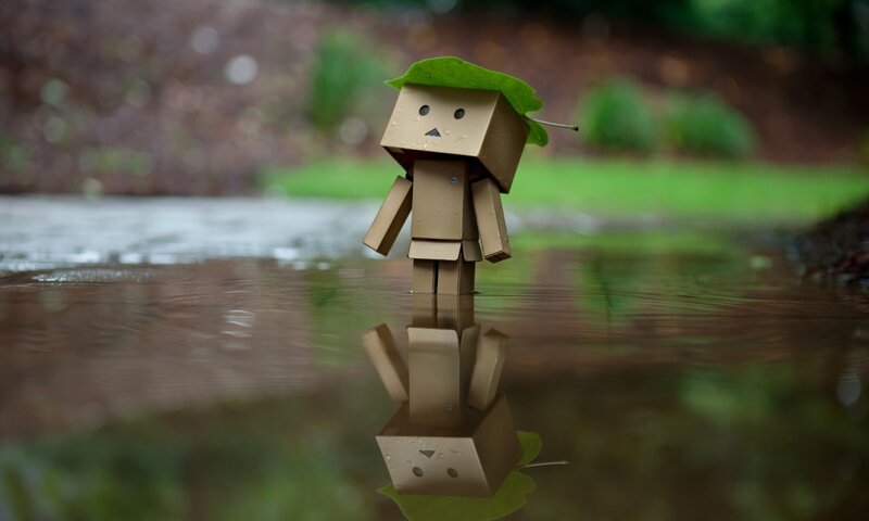 Cardboard Robot in Puddle