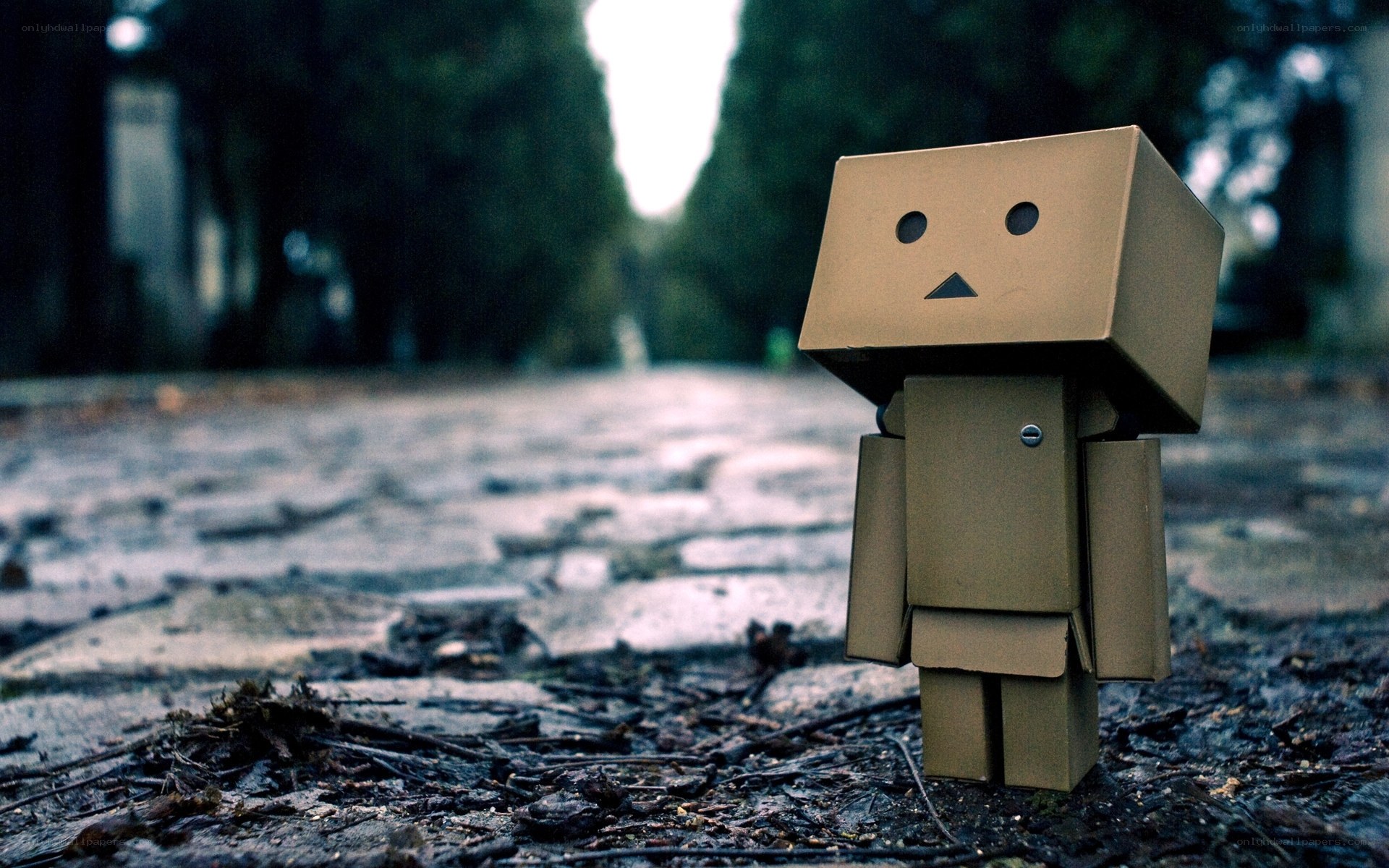 Cardboard robot on a path