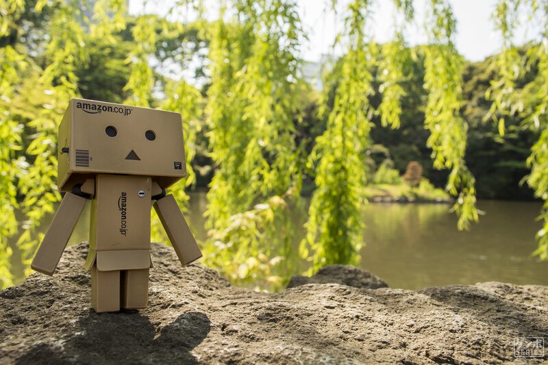 Cardboard Robot on Rock