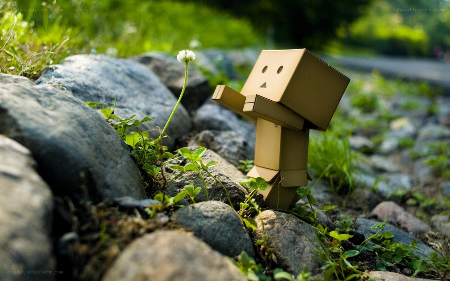 Cardboard robot with flower