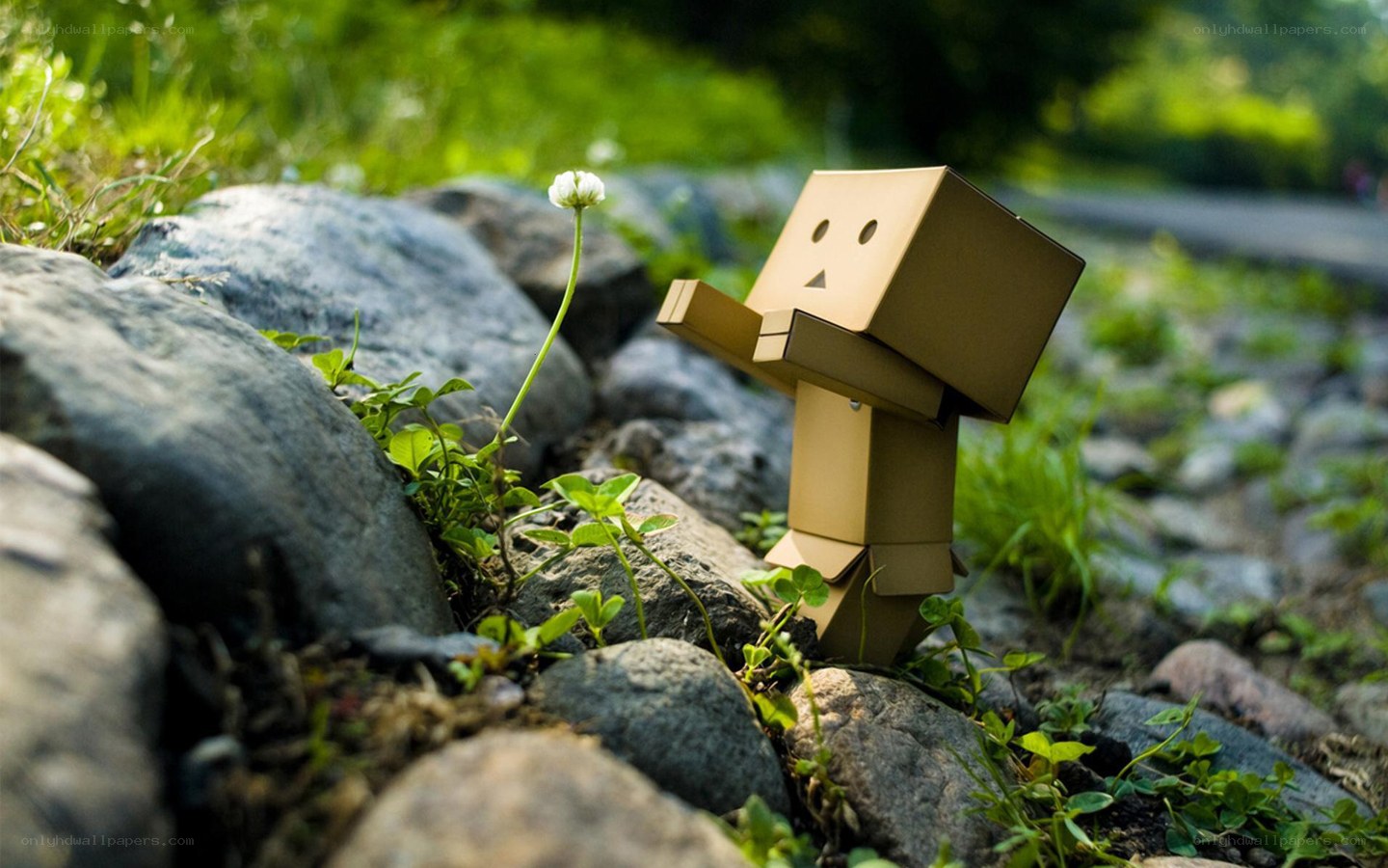 Cardboard robot with flower