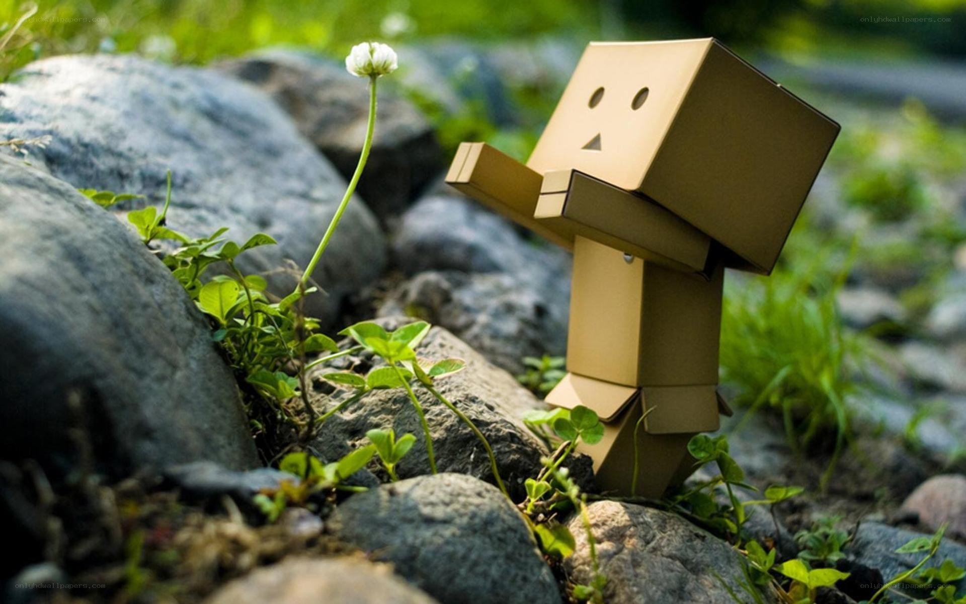 Cardboard robot with flower