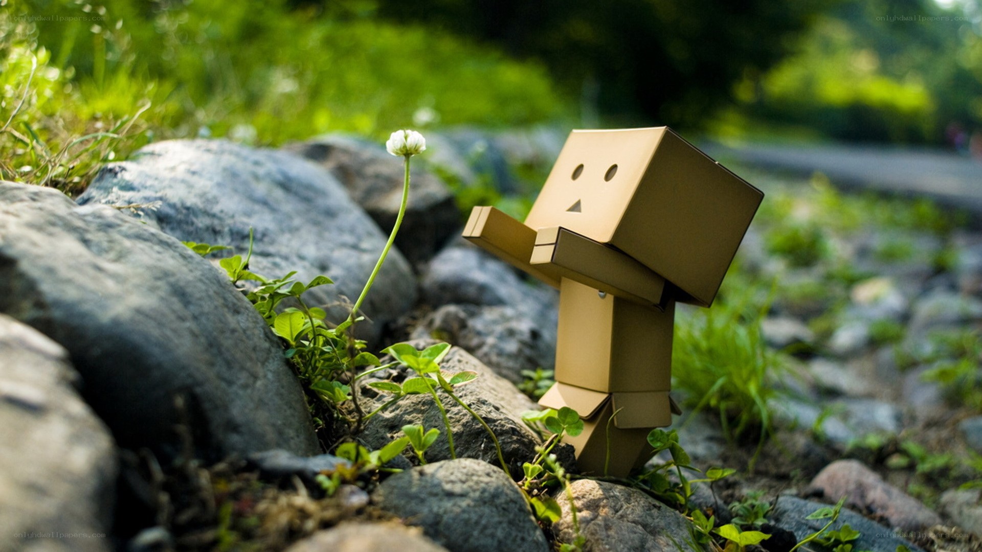 Cardboard robot with flower