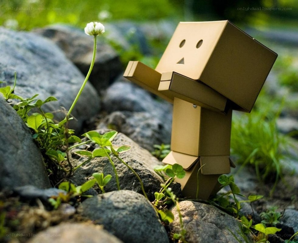 Cardboard robot with flower