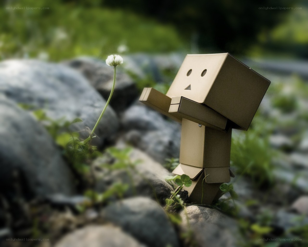 Cardboard robot with flower