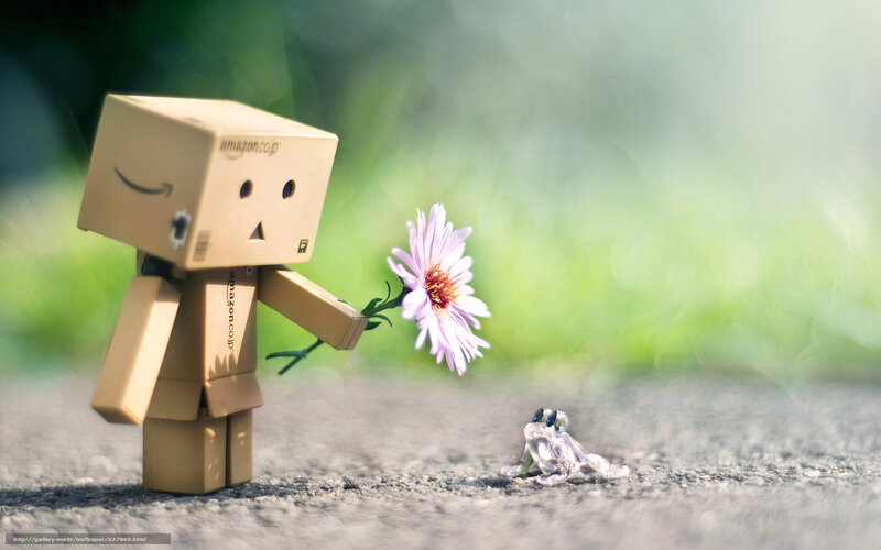 Cardboard Robot with Flower — Brown, Serene, Afternoon