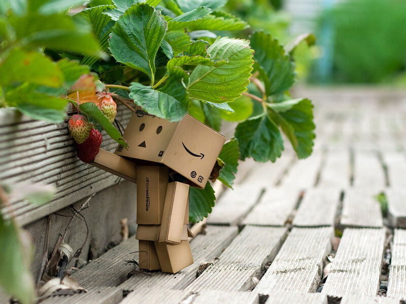 Cardboard Robot with Strawberries — Brown