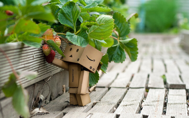 Cardboard Robot with Strawberries — Green