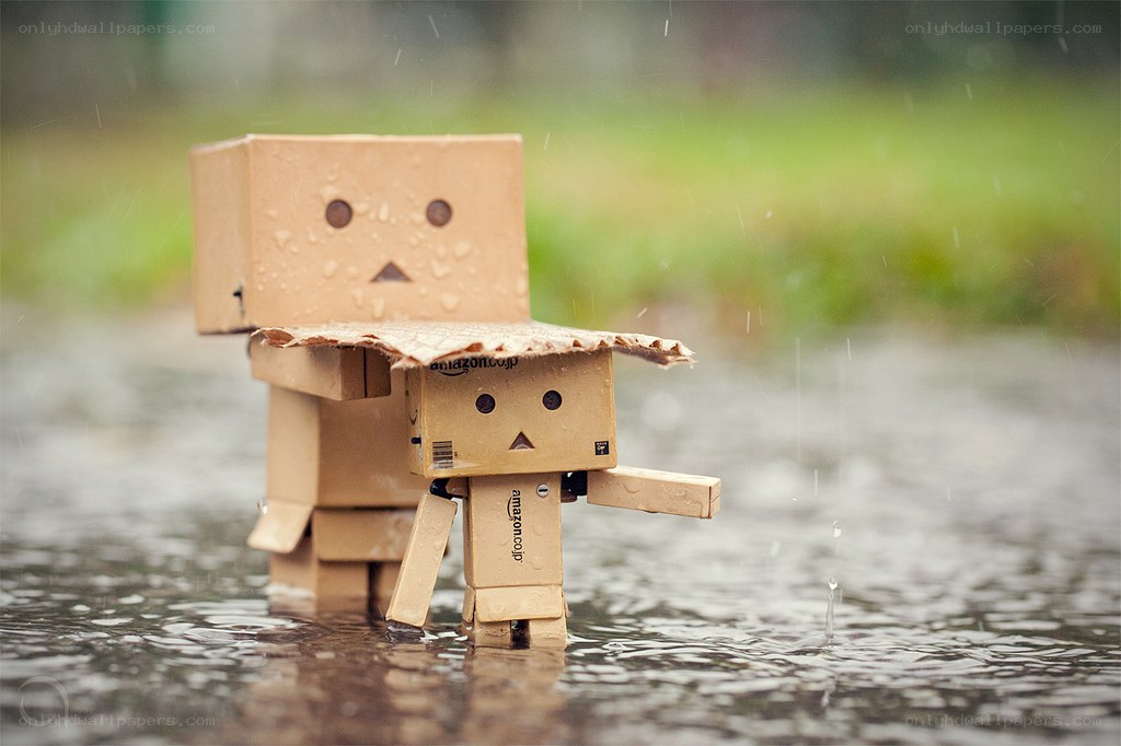 Cardboard robots in the rain