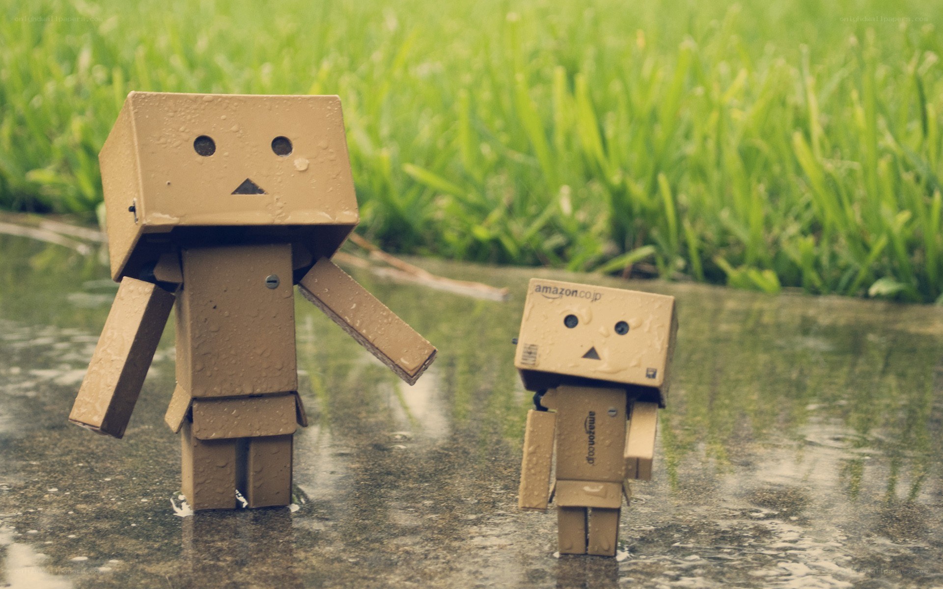 Cardboard robots in the rain