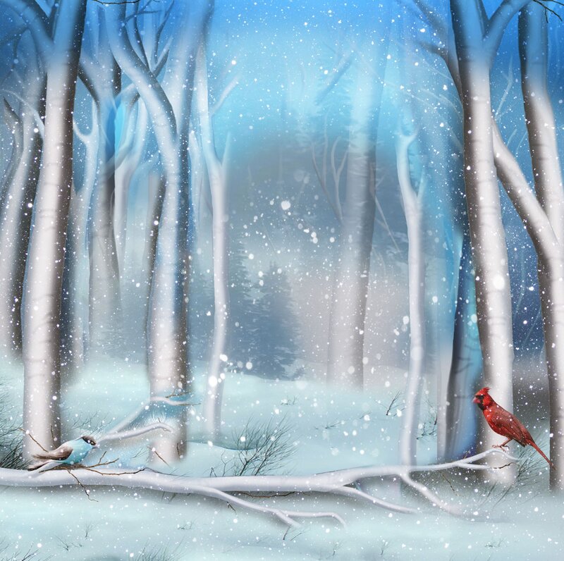 Cardinal and Bluebird in Snow