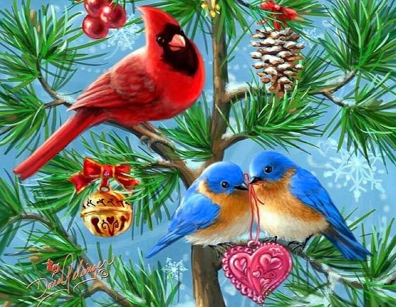 Cardinal and Bluebirds