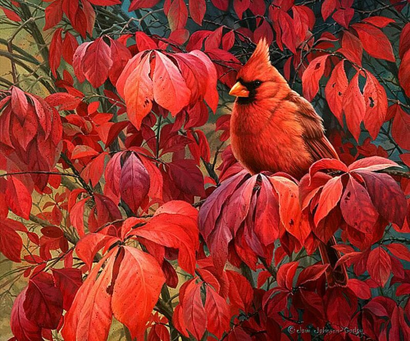 Cardinal Bird in Red Leaves