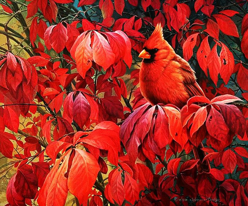 Cardinal Bird in Red Leaves — Vibrant