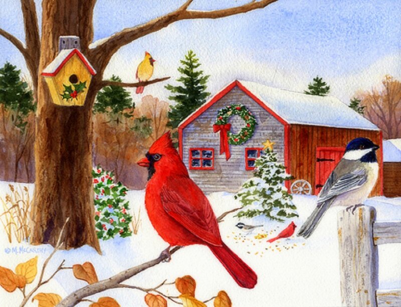 Cardinal Bird in Snow — Red, Festive, Winter