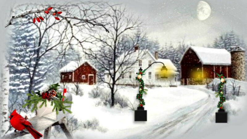 Cardinal Bird in Snow — White