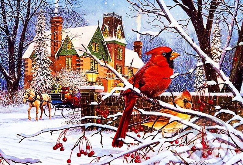 Cardinal Bird on Branch — Red, Peaceful