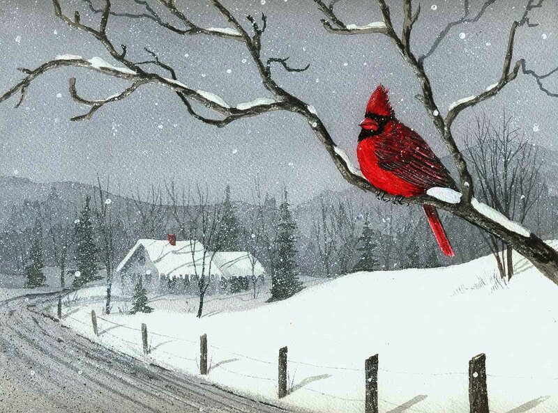 Cardinal Bird on Branch — Red, Serene, Winter